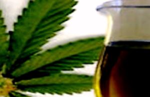 ‘MYSTIC’ συνταγές…και δουλειές με ‘ΦΟΥΝΤΕΣ’