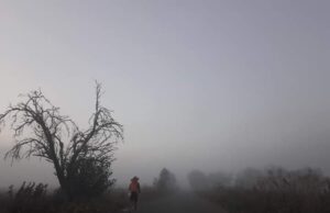 Ο δρομέας της αλληλεγγύης!