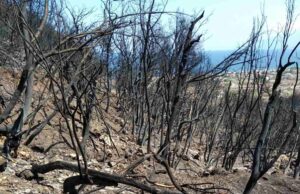 Κυκλοφόρησε η 1η ανακοίνωση της Συνέλευσης Αγώνα Βόρειας Εύβοιας