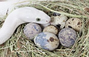 Για τα ΕΠΑΛ Σταυρούπολης