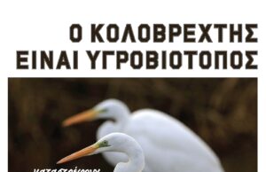 Χαλκίδα: Συγκέντρωση για τον κολοβρέχτη στην περιφέρεια (3/11)