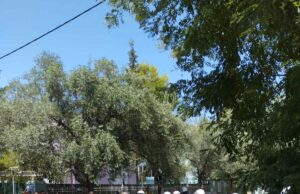 Πατήσια: Ο λαϊκός αγώνας μπορεί να νικήσει