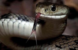 Επ’ αφορμή σεξιστικών σχολίων