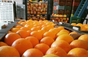 Σύγχρονες ιμπεριαλιστικές αλχημείες: θα διαβάζουμε πορτοκάλι, θα πίνουμε μανταρίνι