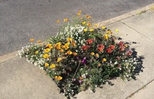 Η ανθρωπιά μας, η κληρονομιά μας