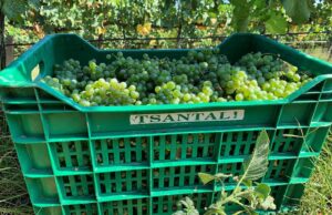 Οινοποιία Τσάνταλη: Πρώτα «κουρεμένοι» μετά απολυμένοι…