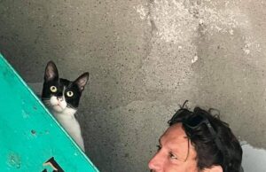 Για τον Παναγή…