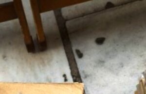 Αθήνα 1948… προδομένη επανάσταση