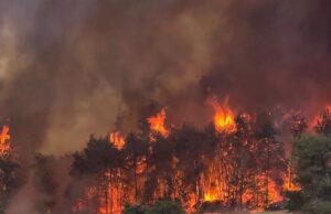 Ένα σχόλιο για τις πυρκαγιές στην Ιερουσαλήμ