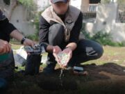 Οι σιωνιστές πλημμυρίζουν με ναρκωτικά τη Γάζα