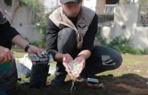 Οι σιωνιστές πλημμυρίζουν με ναρκωτικά τη Γάζα