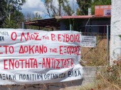 Β. Εύβοια: Ούτε γάτα ούτε ζημιά…