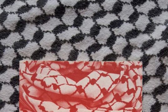 Η Γάζα στο φεγγάρι (βιβλιοπαρουσίαση)