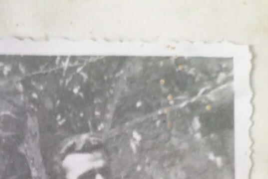 Επιστολή συγγενών του εκτελεσμένου αγωνιστή Βαγγέλη Παπαδόπουλου στην Καισαριανή