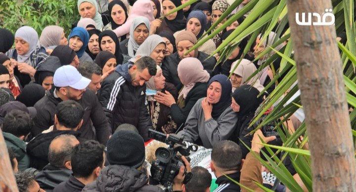 24460f08-fbbd-464e-9548-d02ee306d4a7