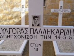 Ποιος κρέμασε τον Ε. Παλληκαρίδη, κύριε Δένδια;