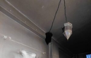 Σιωνιστική ΕΟΖ Ψυρρή: Εμπρησμός γκαλερί, γιατί καταδικάζει τους γενοκτόνους